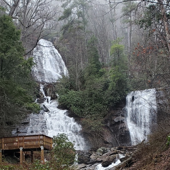 Meet your Posher, Elizabeth - Picture 8 of 14